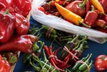 HaliburtonFarms (22)
