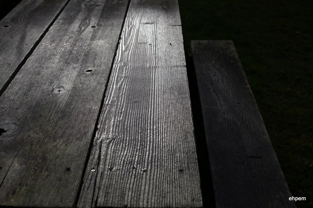 Picnic table, fall
