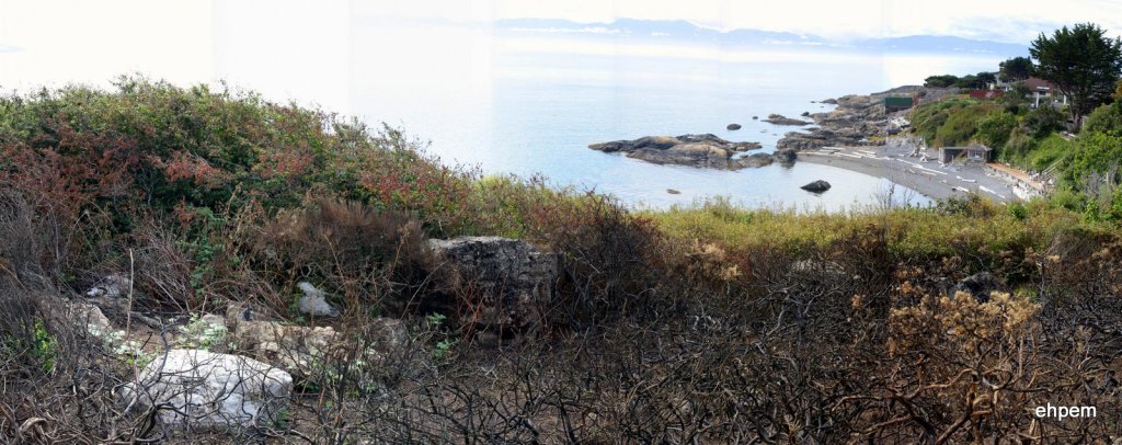 Pebble Beach from Trafalgar burn