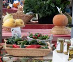 RebeccasGarden&EchoValleyFarm (3)