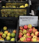 SaltspringApples (3)