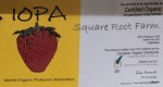 SquareRootFarm (1)