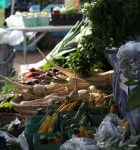SquareRootFarm (13)