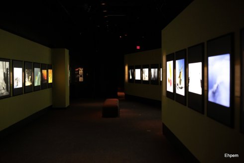 Gallery14