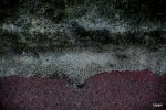 sidewalk dune