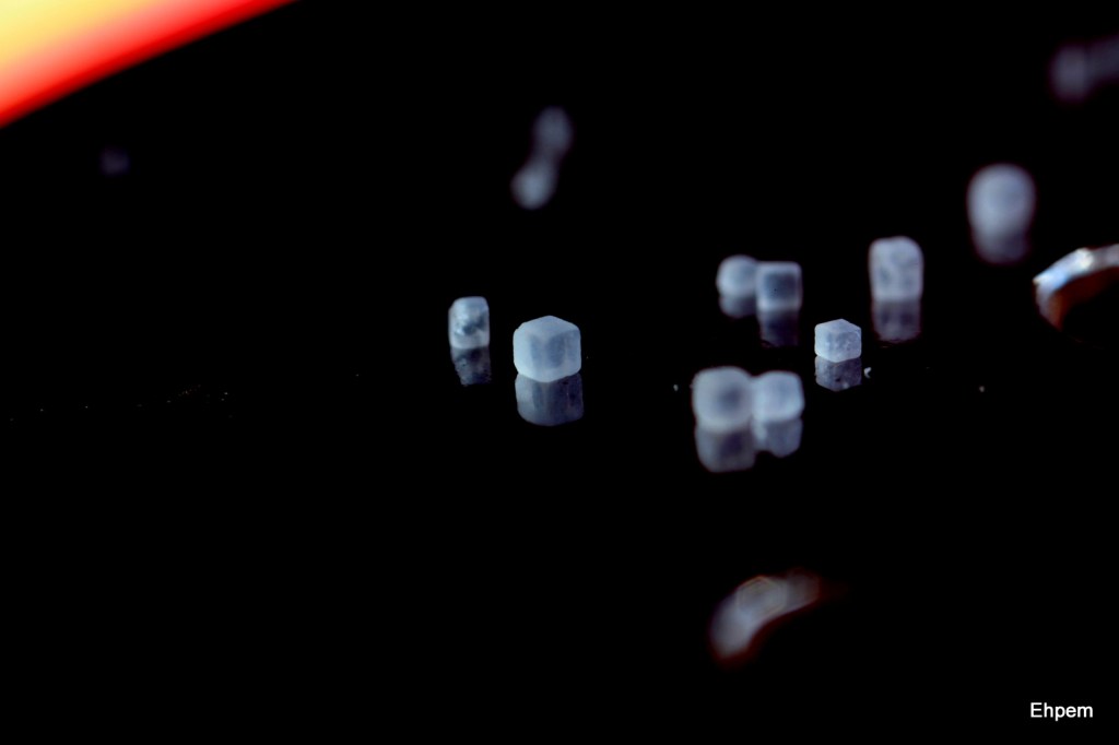 5:1 magnification dark