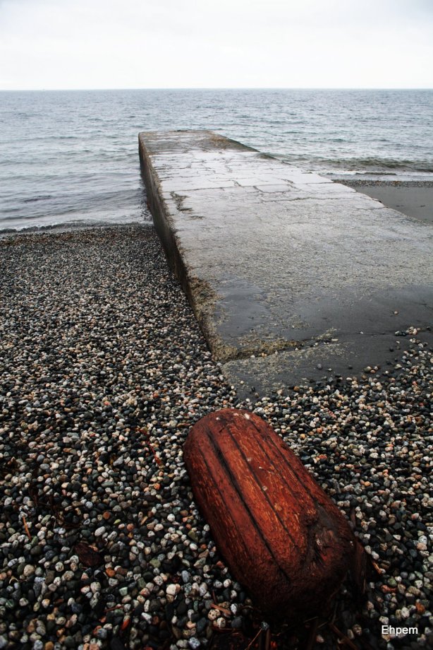 drain and beach wood