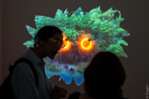 Forestface viewers 2