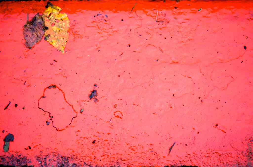 Yellow leaf on red curb