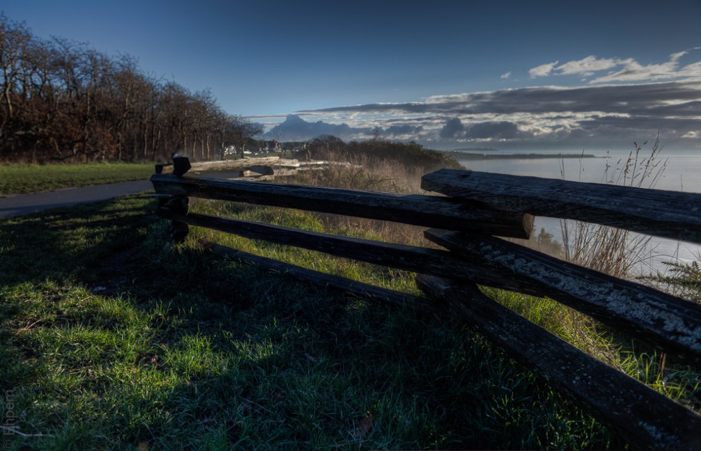 Misty Park Morning 3