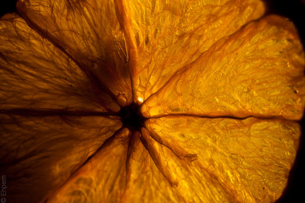 Dried orange slice 2
