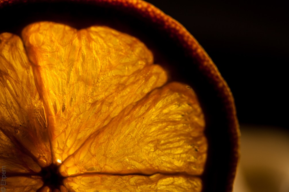 Dried orange slice 3