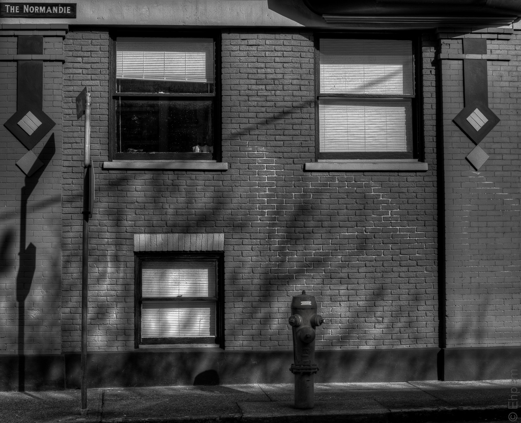 IMG_0373_4_5bnw
