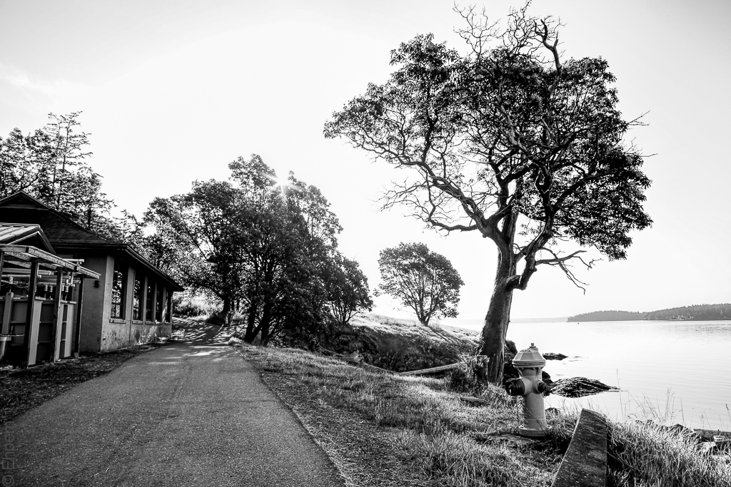 Lab 5, setting to east, 2012