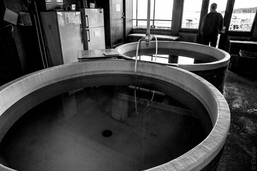 Lab Tanks 2 IMG_4129-Edit