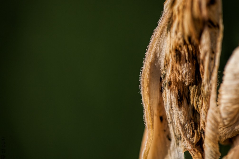 IMG_1074-Edit edited