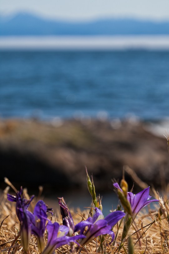 IMG_1592-Edit edited