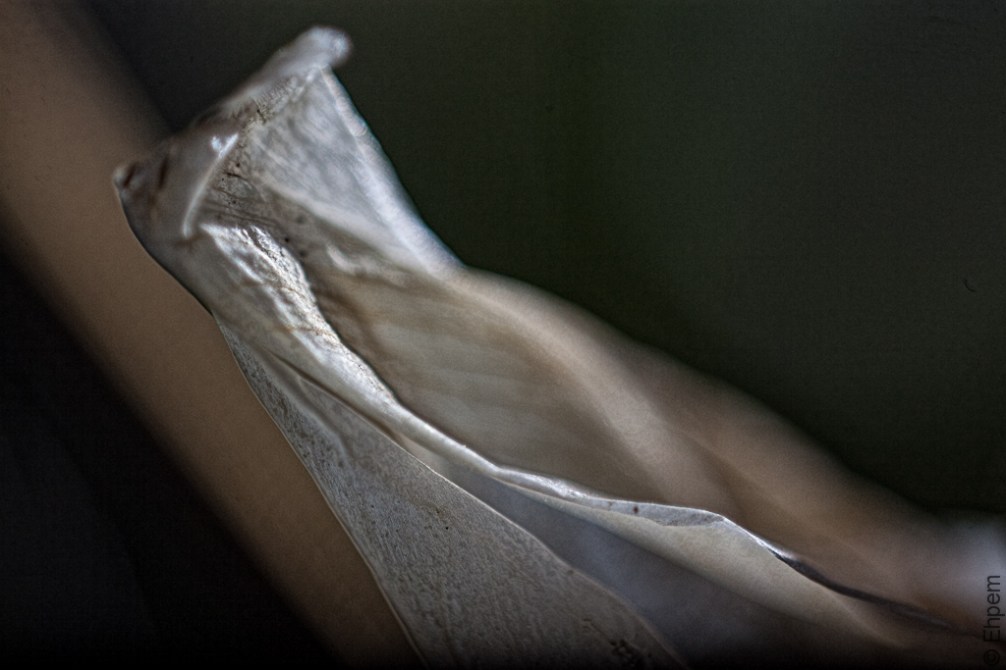 IMG_2295-Edit edited