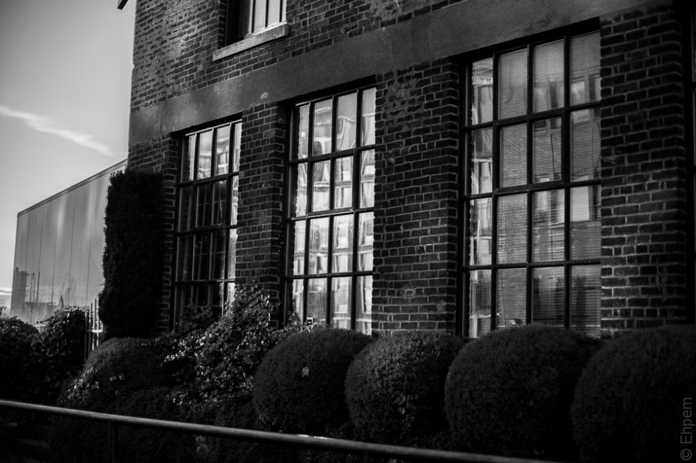 Swift Street 1 IMG_9962