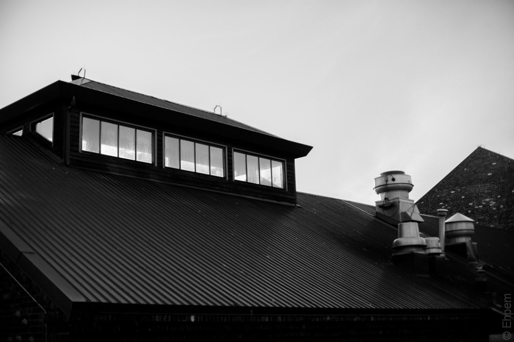 Swift Street 2 IMG_9963