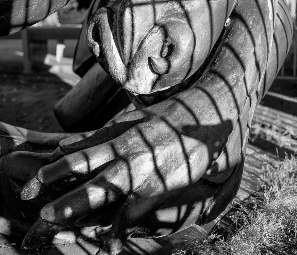 Swift Street 3 IMG_9966