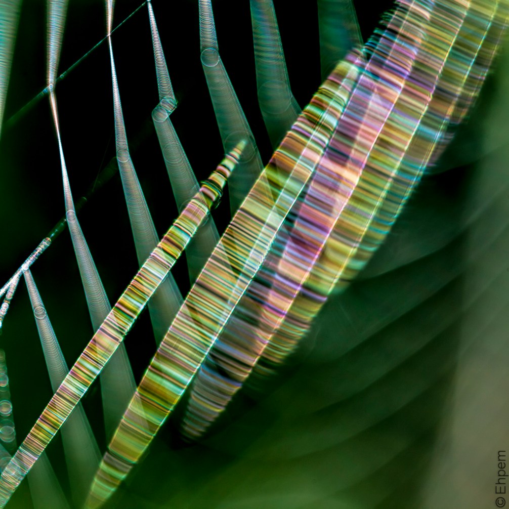IMG_4326-Edit-5