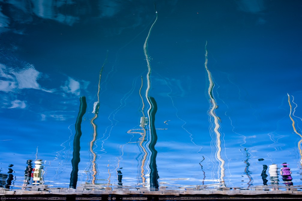 Boat Festival reflections IMG_5028