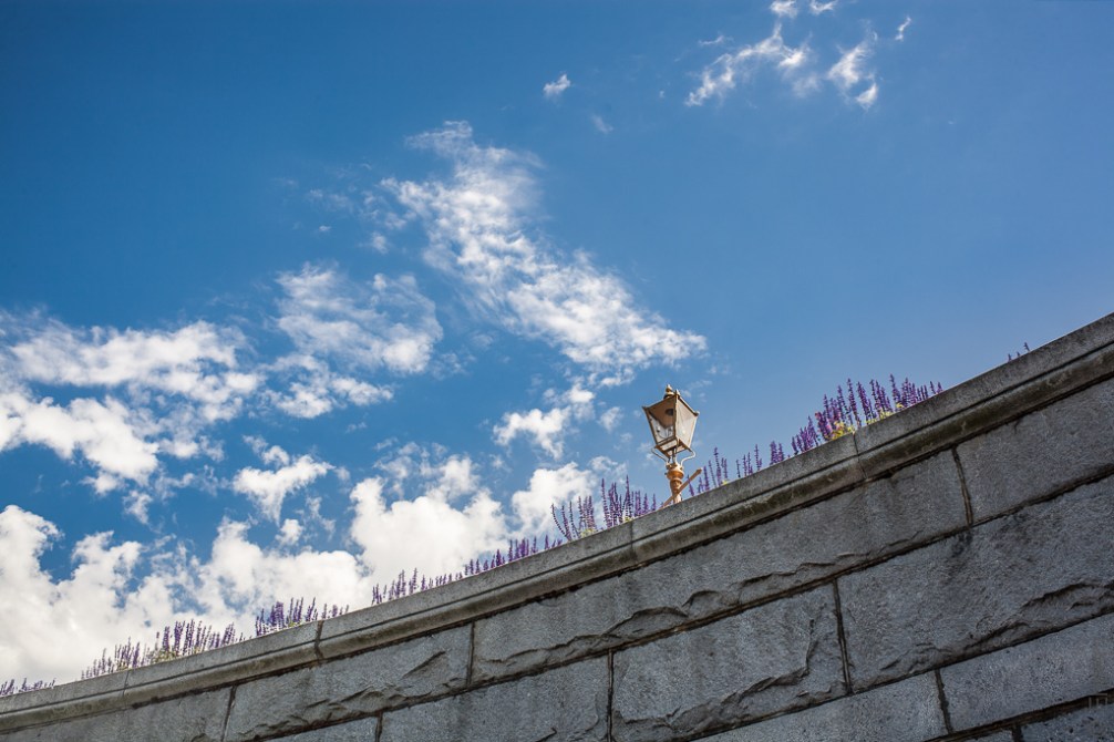 Causeway Purple Fringe IMG_5069