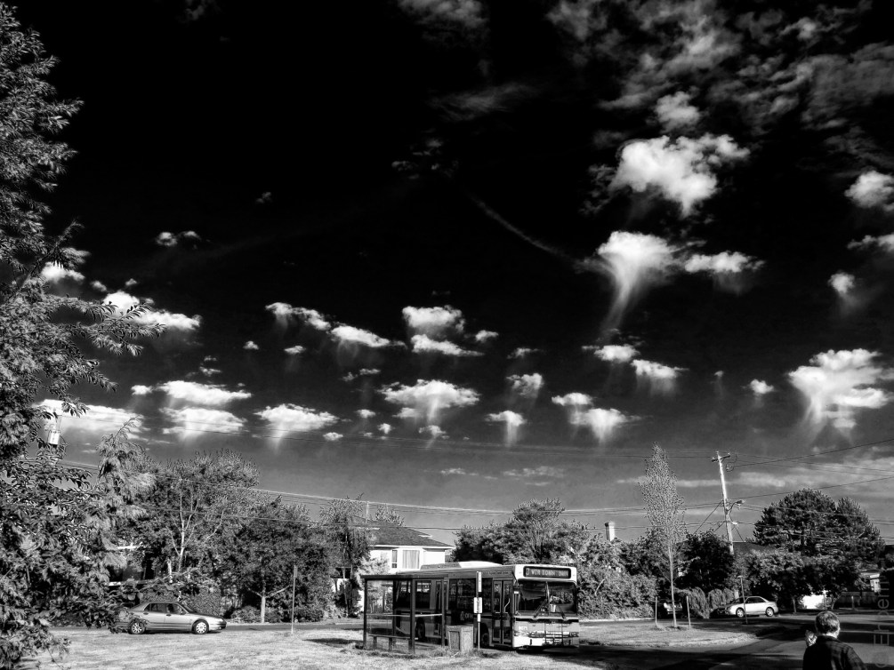 IMG_2285-Edit B&WEffects Infrared