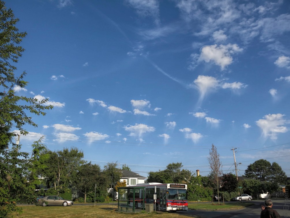 IMG_2285-Edit DeJpeg and Clarity