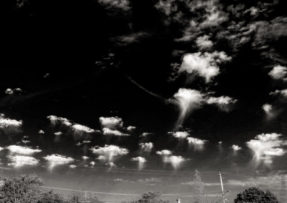 IMG_2285-Edit edited cropped more