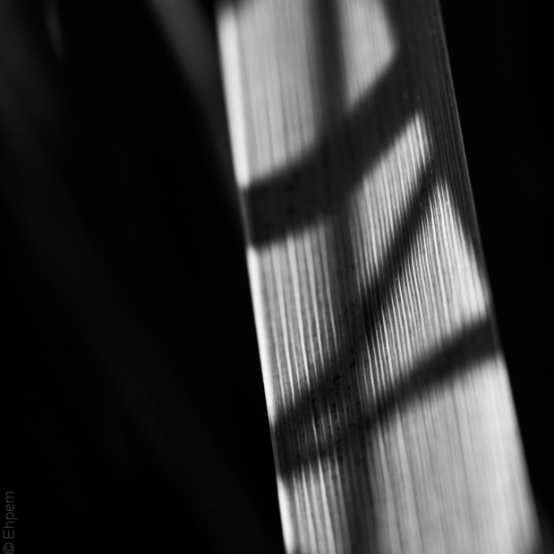 Iris writing bold IMG_2563