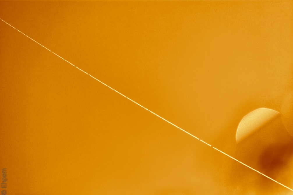 spider thread 4 IMG_5166-Edit-2