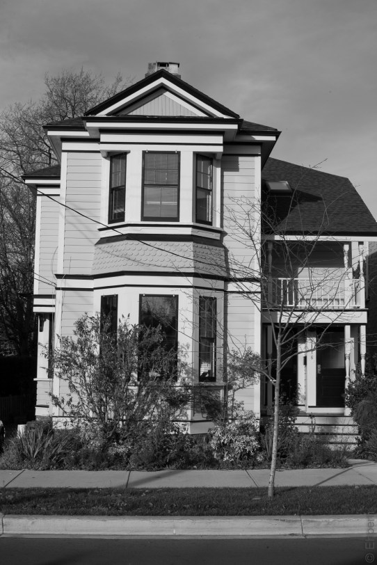 North Side Caledonia, DSLR IMG_7779