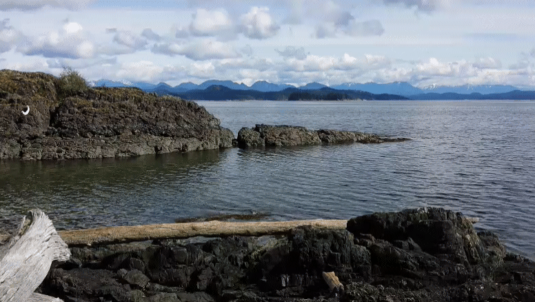 20140409_124915.gif image