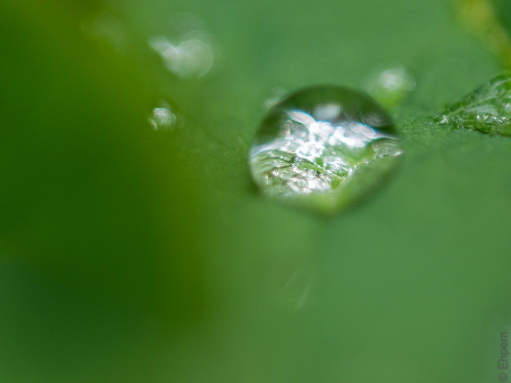 Water drop
