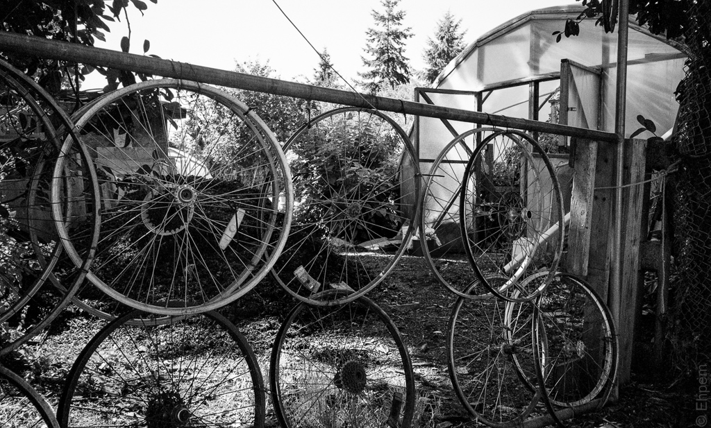 Black and white conversion with significant adjustment of colour filters