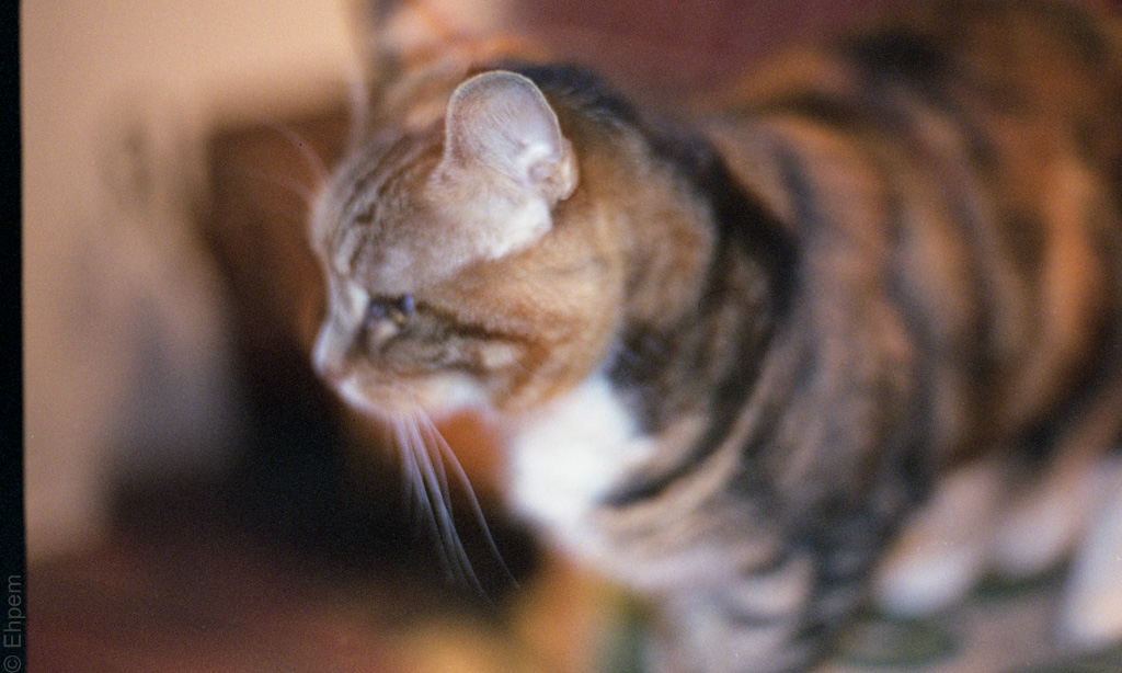 Takumar 200mm exposure test, hand held indoors