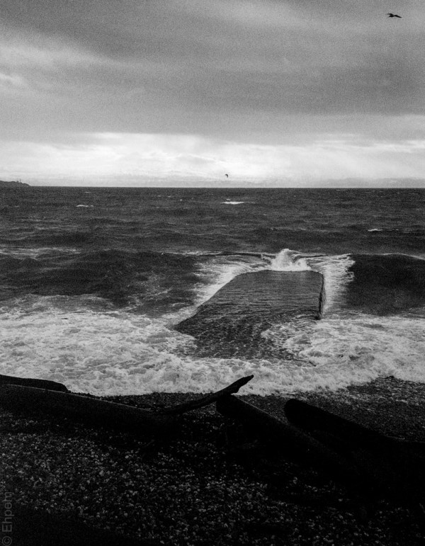 2015-XA2-002-Silverfast-21-3