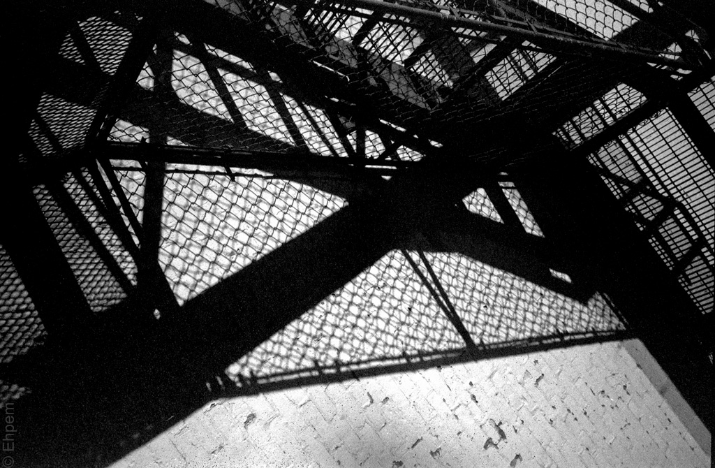 2015-XA2-002-Silverfast-(5)-2