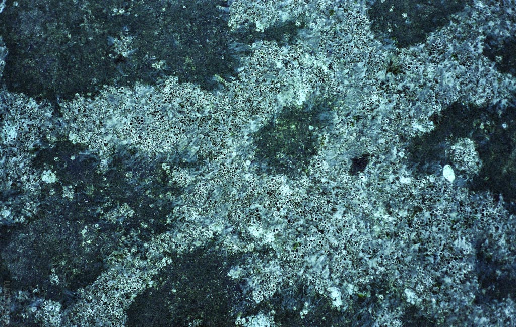 2015-OlyMJUII-002-003