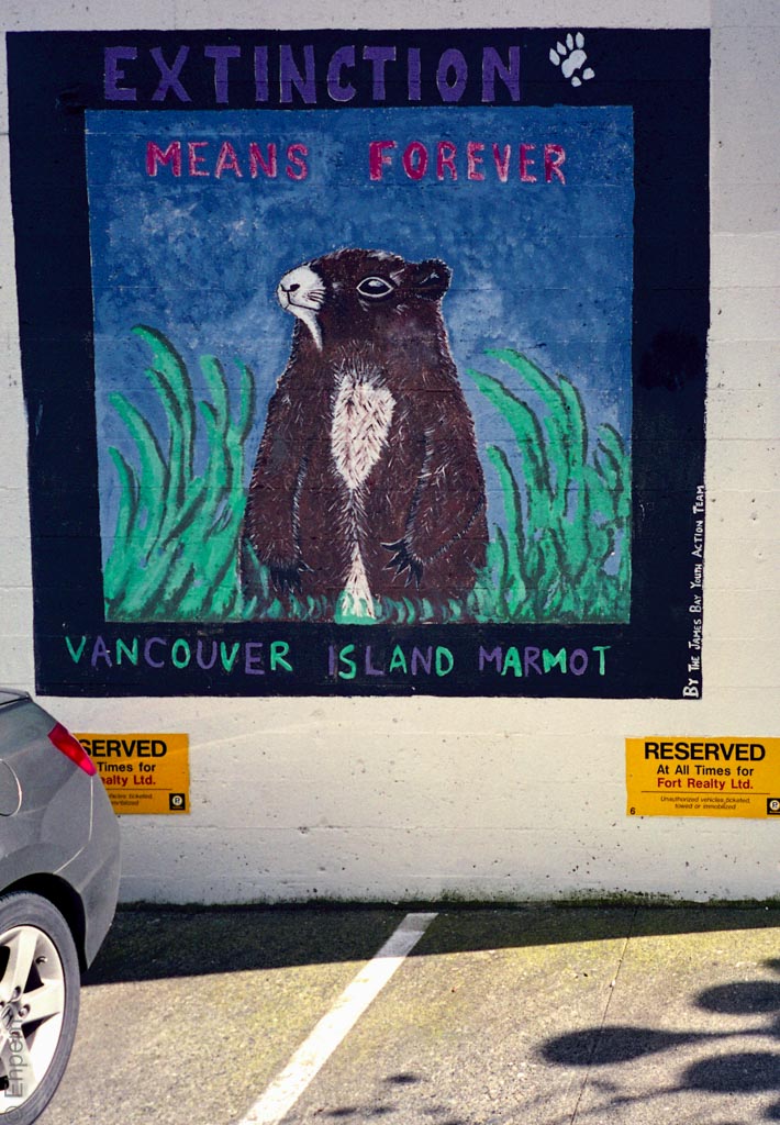 2015-OlyMJUII-003-010