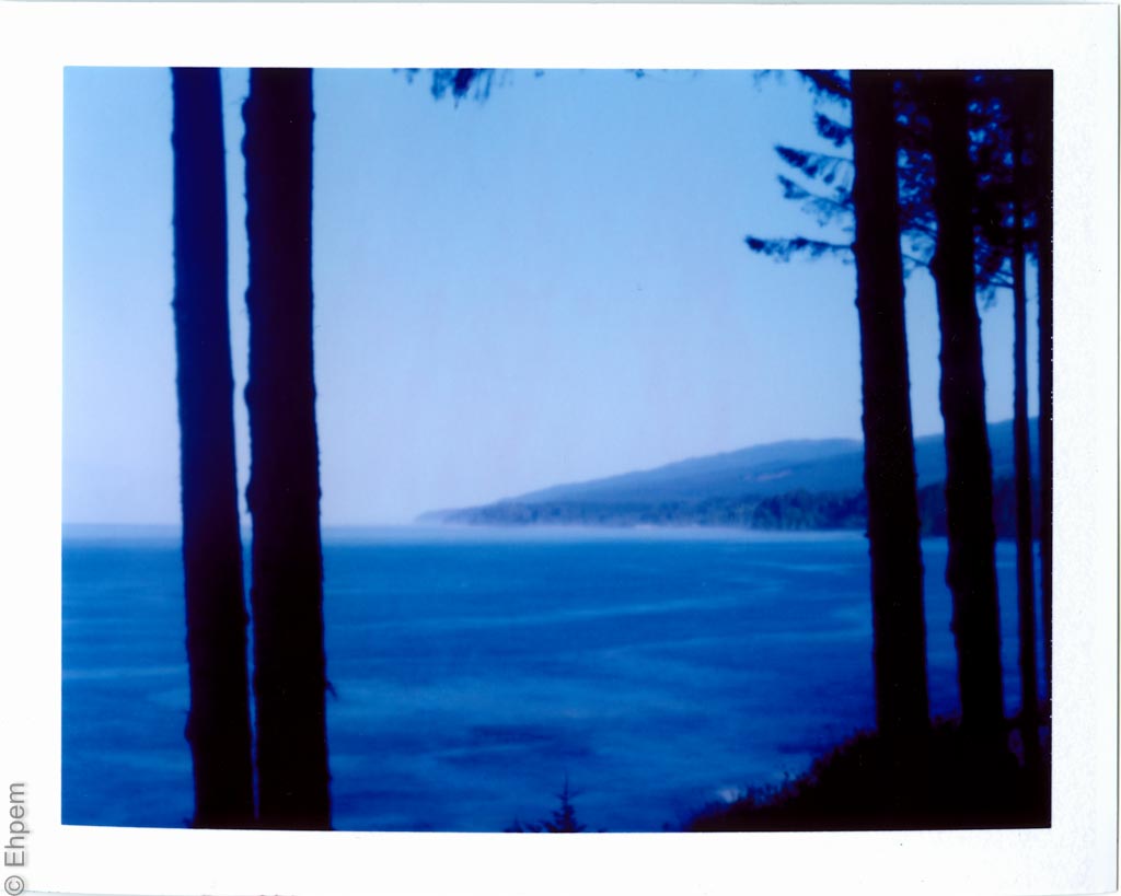 Featured Image -- 25304