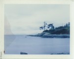 2015-Pinhole100c-Pack2-April-Pos-06 SmallSpotted
