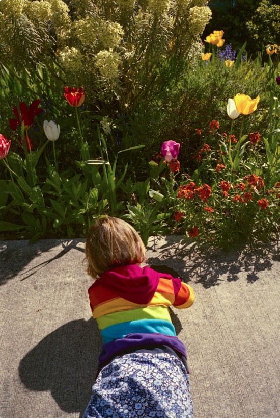 2015-OlyMJUII-005-019_for_Card