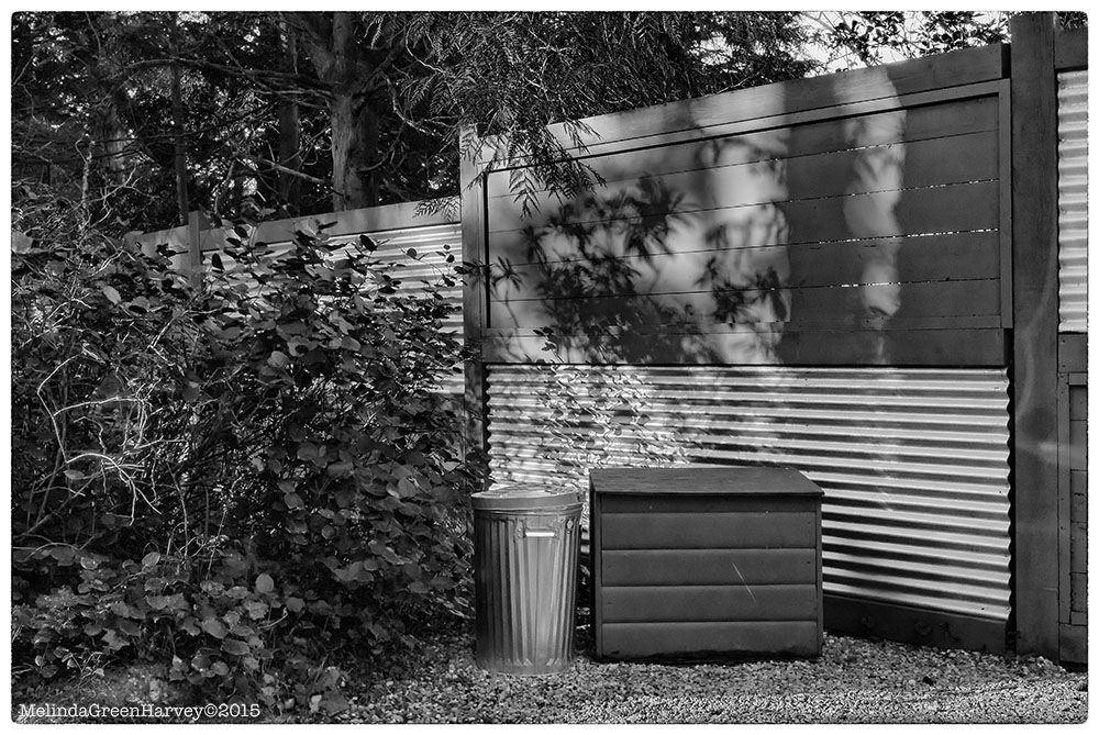 Trash Can Point No Point