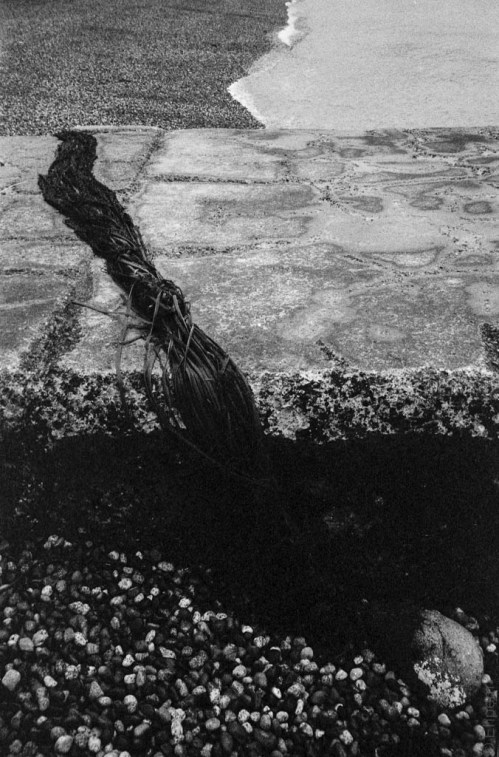 2015-MinAFS-001-004-3