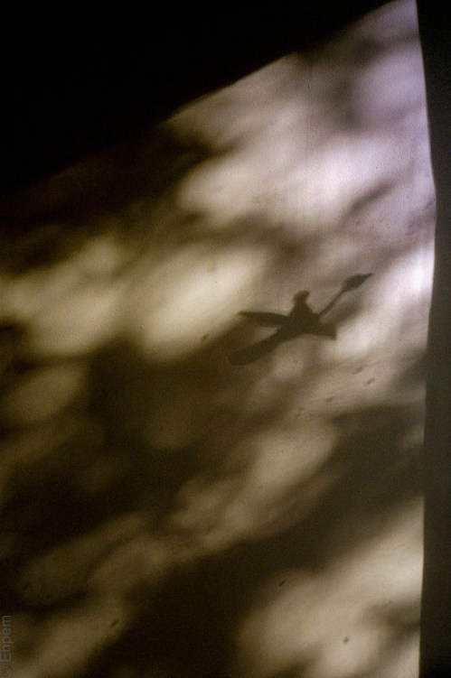 2015-OlyMJUII-007-020