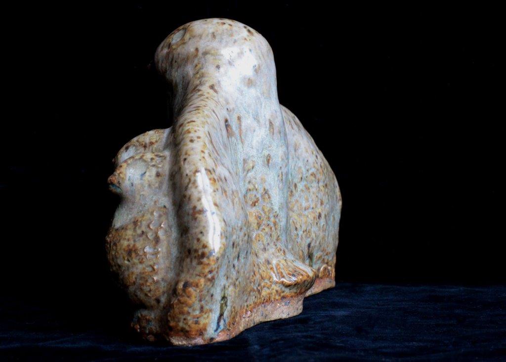 Makituk_BirdandChicks (4)