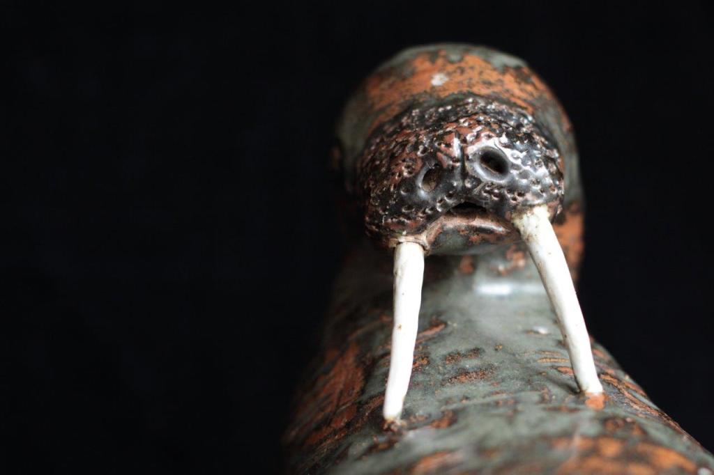 Makituk_Walrus (16)